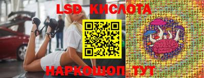 jwh Кингисепп