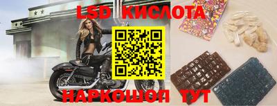 jwh Кингисепп