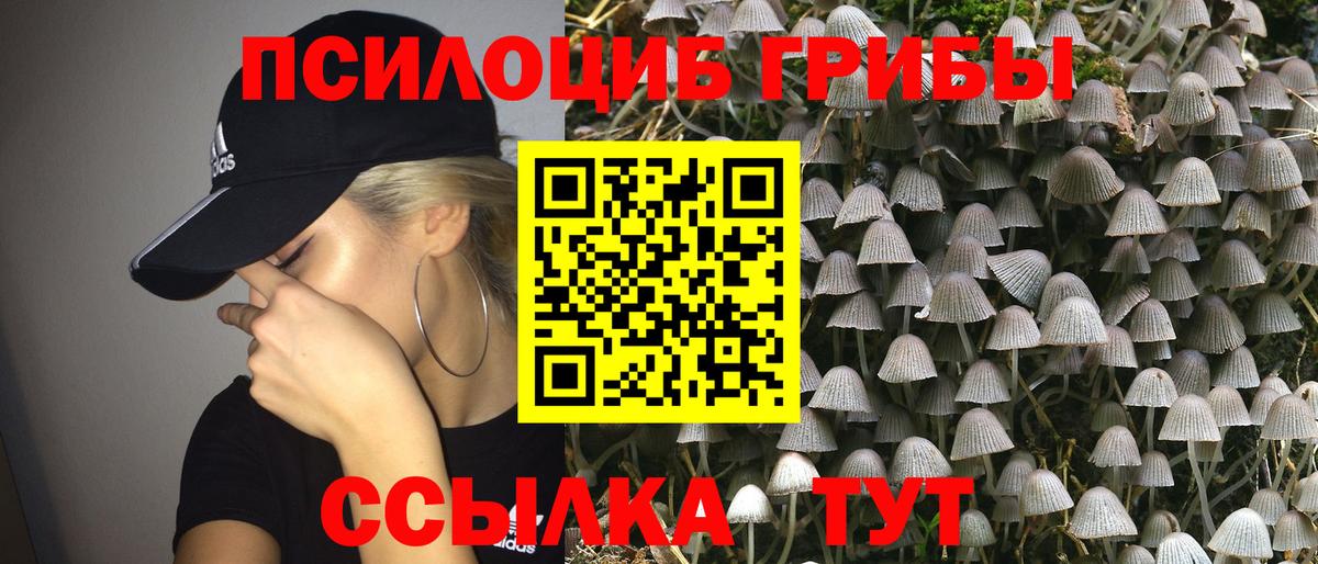 Краснокаменск  Псилоцибиновые грибы прущие грибы  Вход с VPN  Галлюциногенные грибы мицелий 