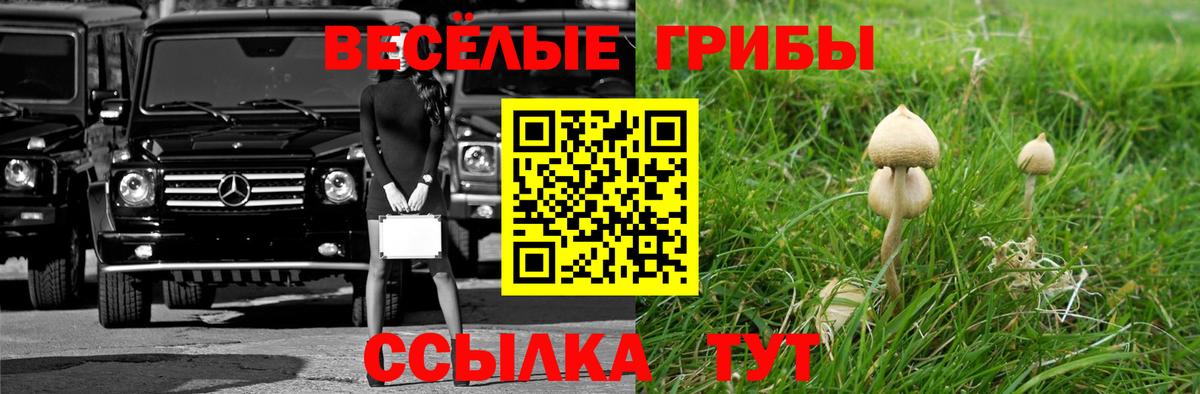Псилоцибиновые грибы ЛСД Краснокаменск